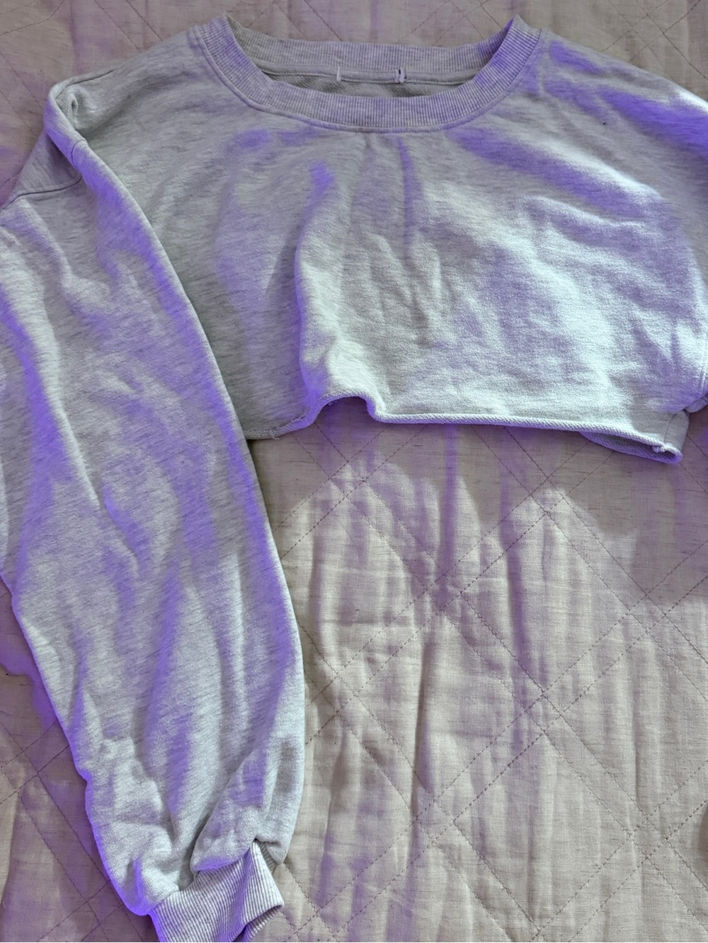 Cropped Crewneck Sweatshirt - Light Gray